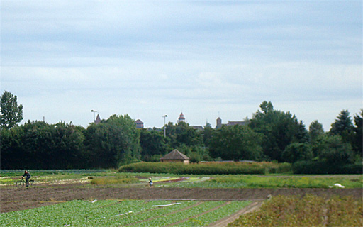 Burg vom Knoblauchsland